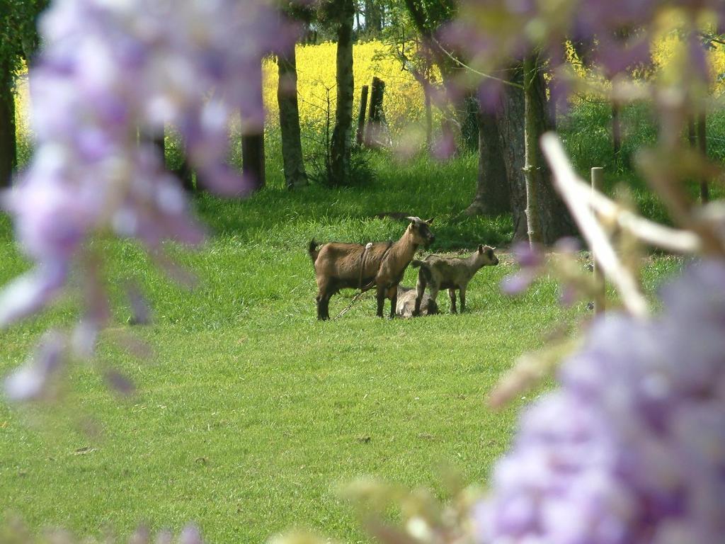 Maison Prairie Bonheur Bed and Breakfast Magny-les-Hameaux Rum bild